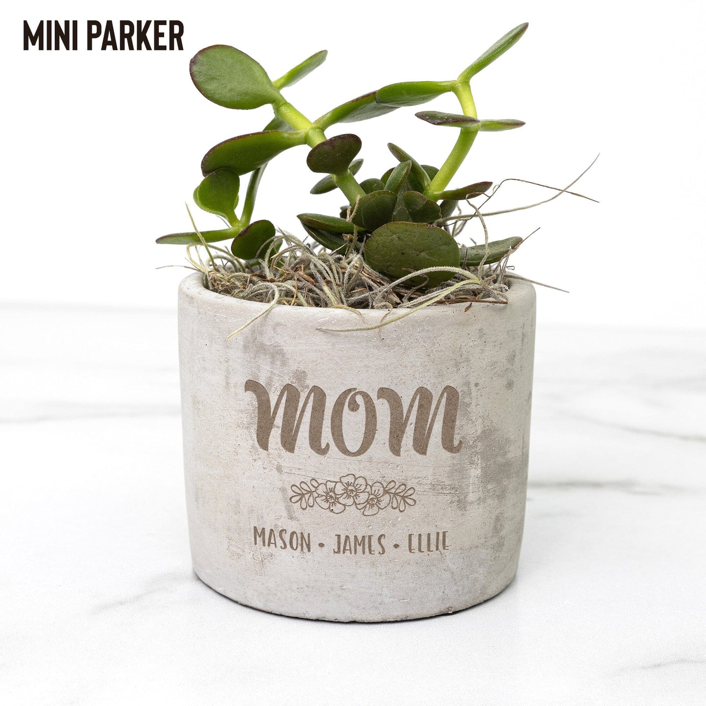 Birthday Gift for Mom, Personalized Flower Pot, Succulent Gift Box, Customized Planter with Children's Names Desk Plant teelaunch