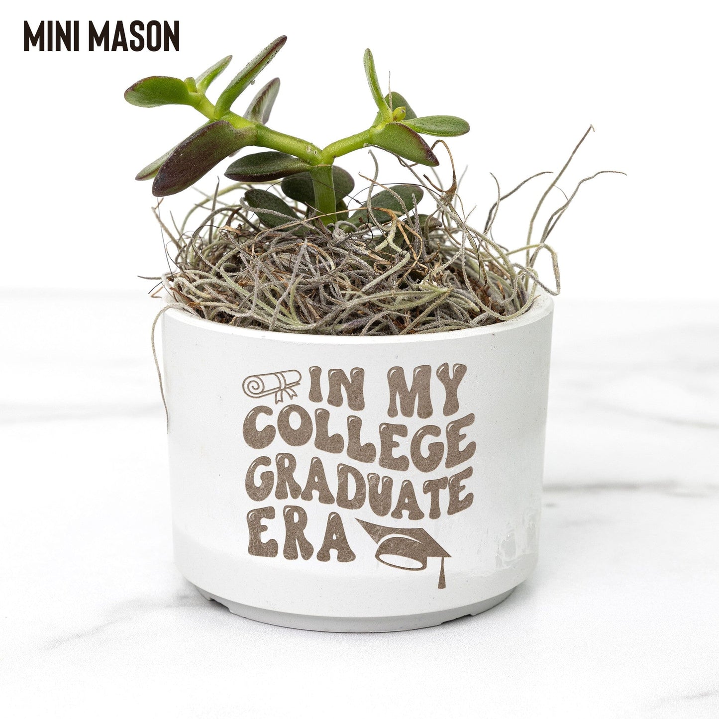 Gifts for Graduates ~ Succulent Gift Box for College Graduates Desk Plant teelaunch Mason Grey Jade