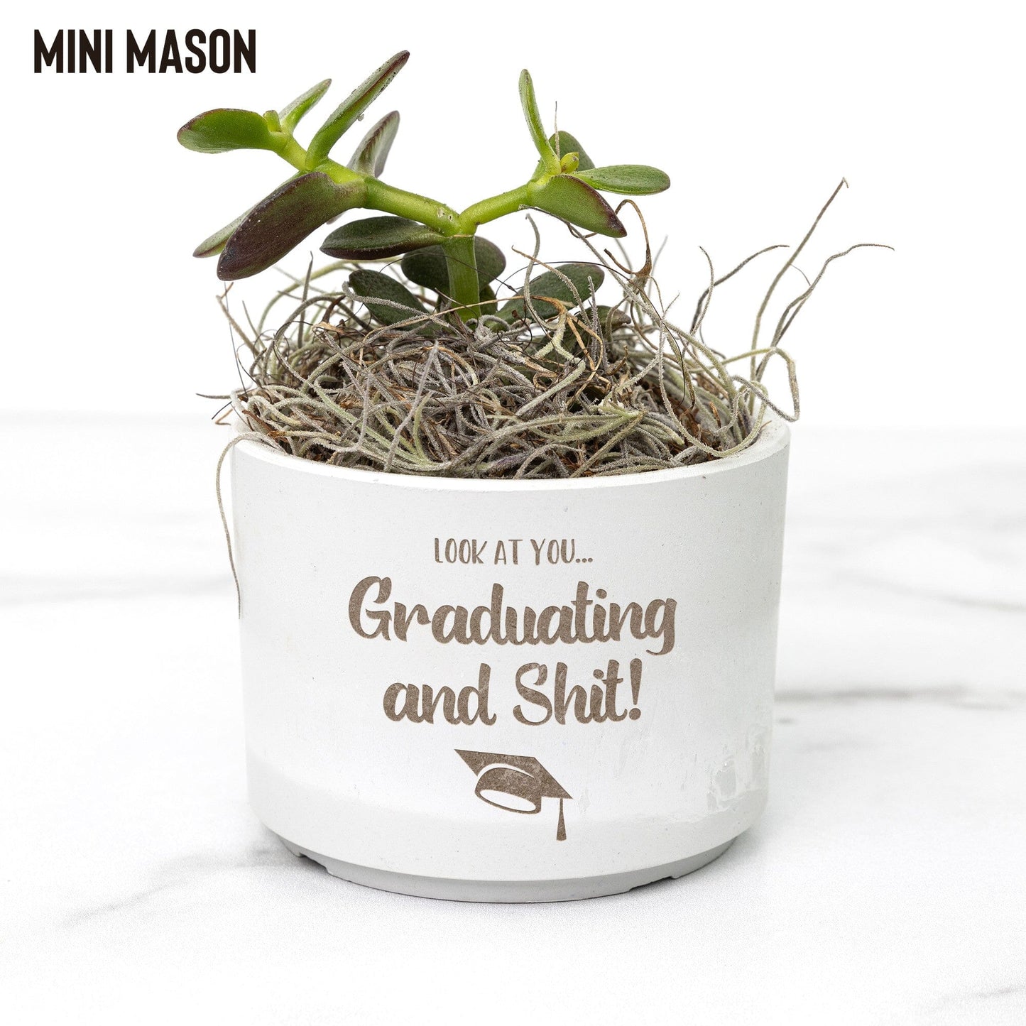 Look At You Graduating And Shit ~ Succulent Gift Box for Graduation Gifts Desk Plant teelaunch Mason Grey Jade