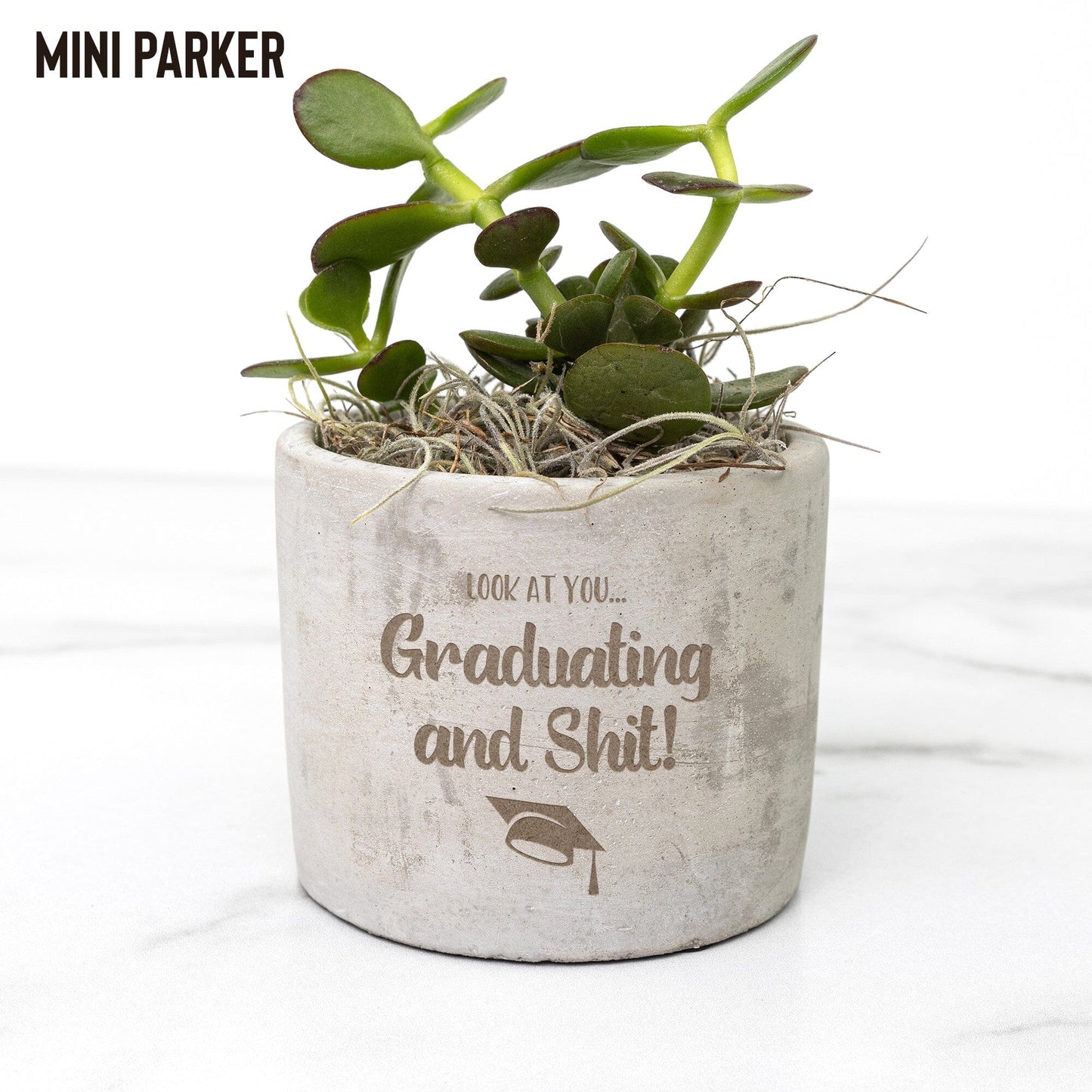 Look At You Graduating And Shit ~ Succulent Gift Box for Graduation Gifts Desk Plant teelaunch Parker Jade