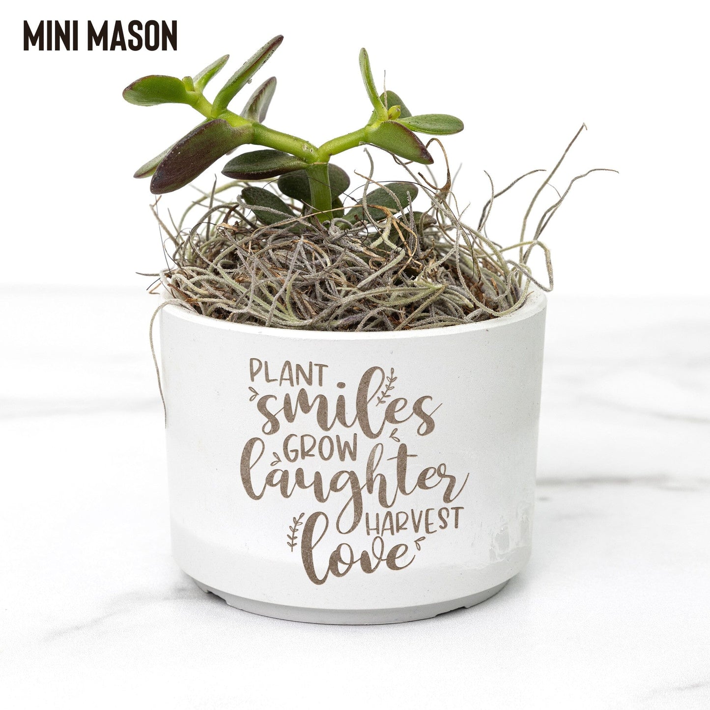 Plant Smiles Succulent Gift Box ~ Birthday and Christmas Gifts for Best Friends Desk Plant teelaunch Mason Grey Jade