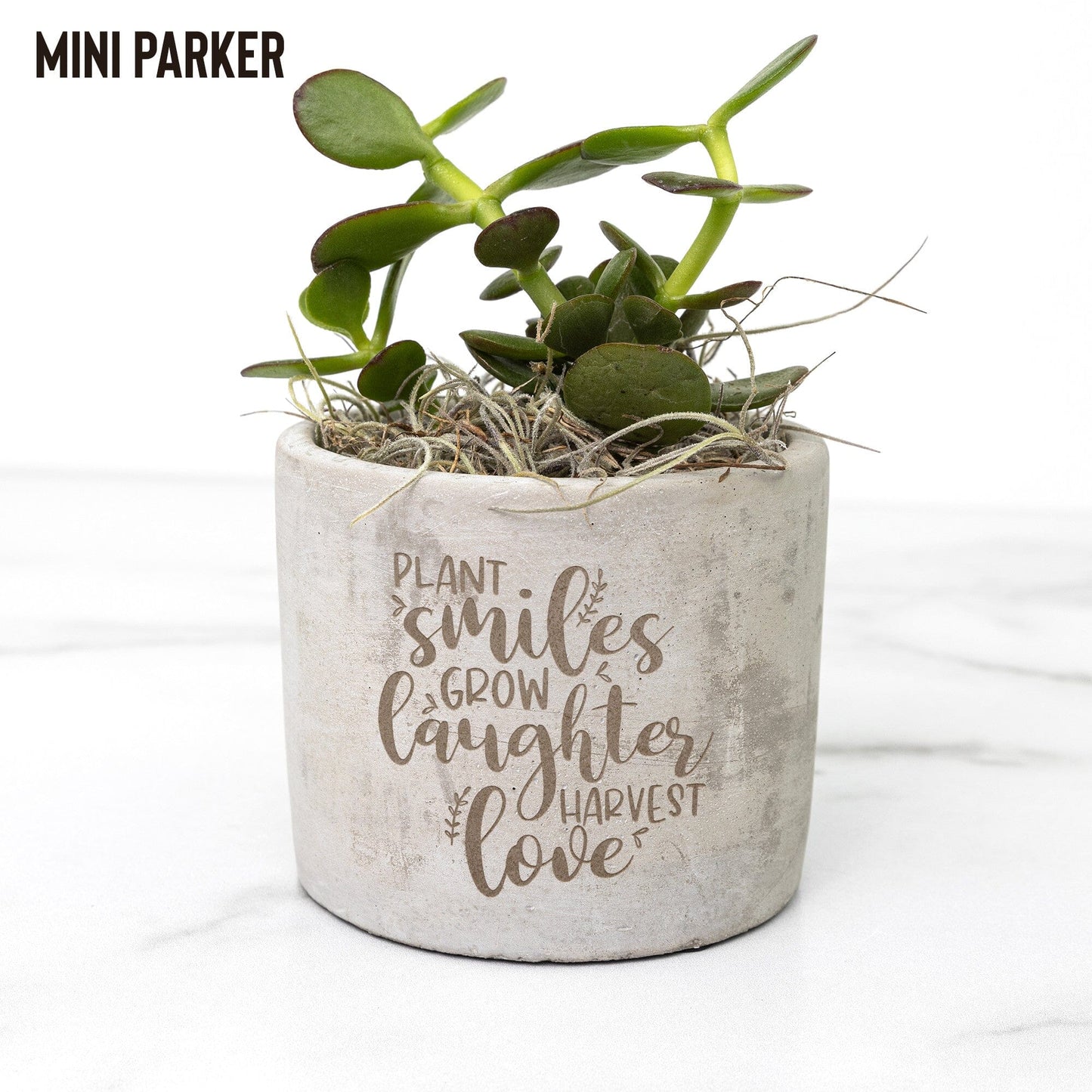 Plant Smiles Succulent Gift Box ~ Birthday and Christmas Gifts for Best Friends Desk Plant teelaunch Parker Jade