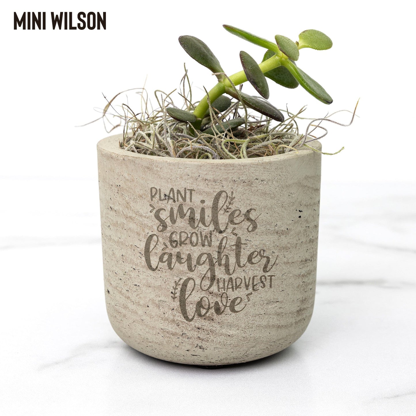 Plant Smiles Succulent Gift Box ~ Birthday and Christmas Gifts for Best Friends Desk Plant teelaunch Wilson Jade