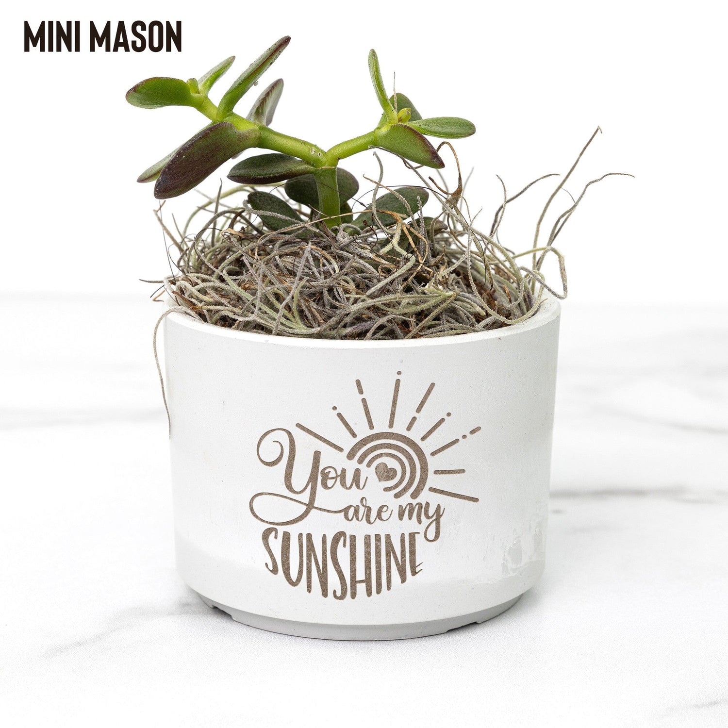 You Are My Sunshine, Roommate Gift for Best Friend, Mothers Day Gift Office teelaunch