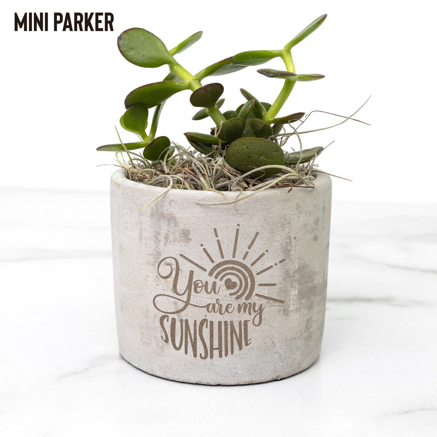 You Are My Sunshine, Roommate Gift for Best Friend, Mothers Day Gift Office teelaunch