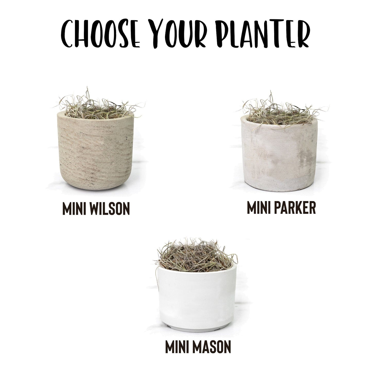 Plant Lover Gifts ~ Plant Smiles Succulent Gift Box Desk Plant teelaunch