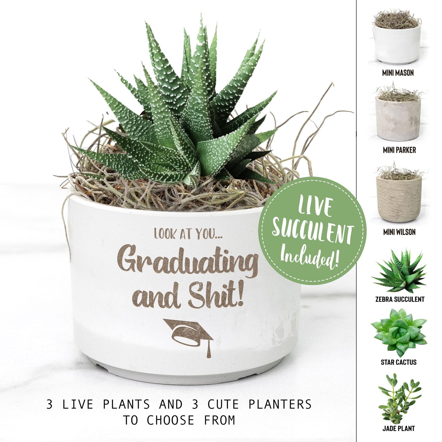 Look At You Graduating And Shit ~ Succulent Gift Box for Graduation Gifts Desk Plant teelaunch