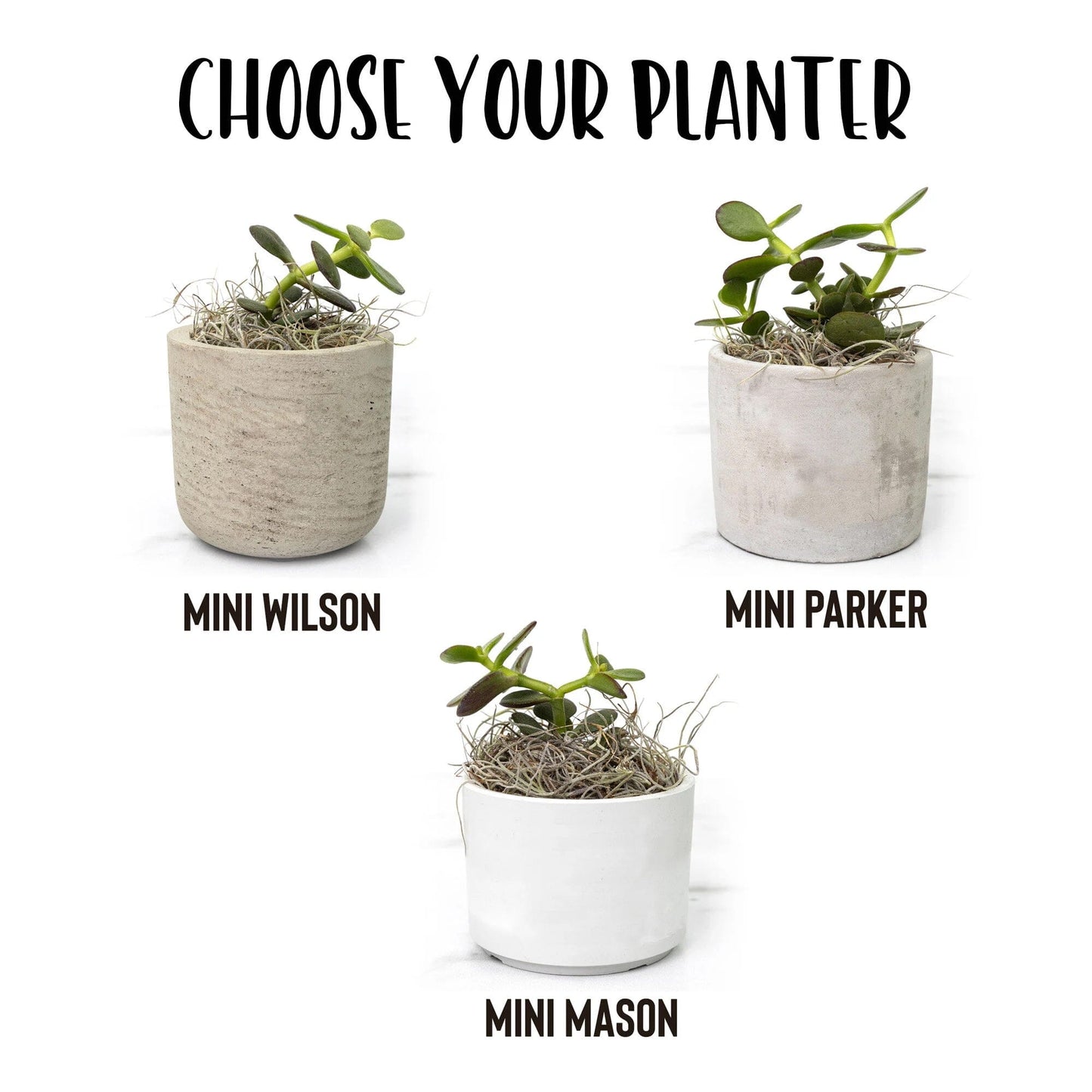 Birthday Gift for Mom, Personalized Flower Pot, Succulent Gift Box, Customized Planter with Children's Names Desk Plant teelaunch