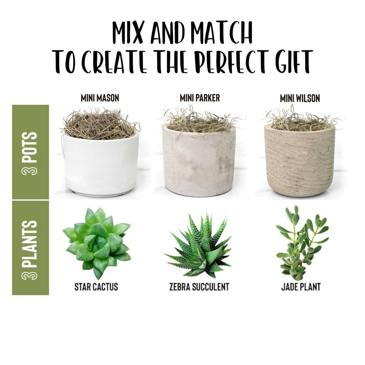 Plant Lover Gifts ~ Plant Smiles Succulent Gift Box Desk Plant teelaunch
