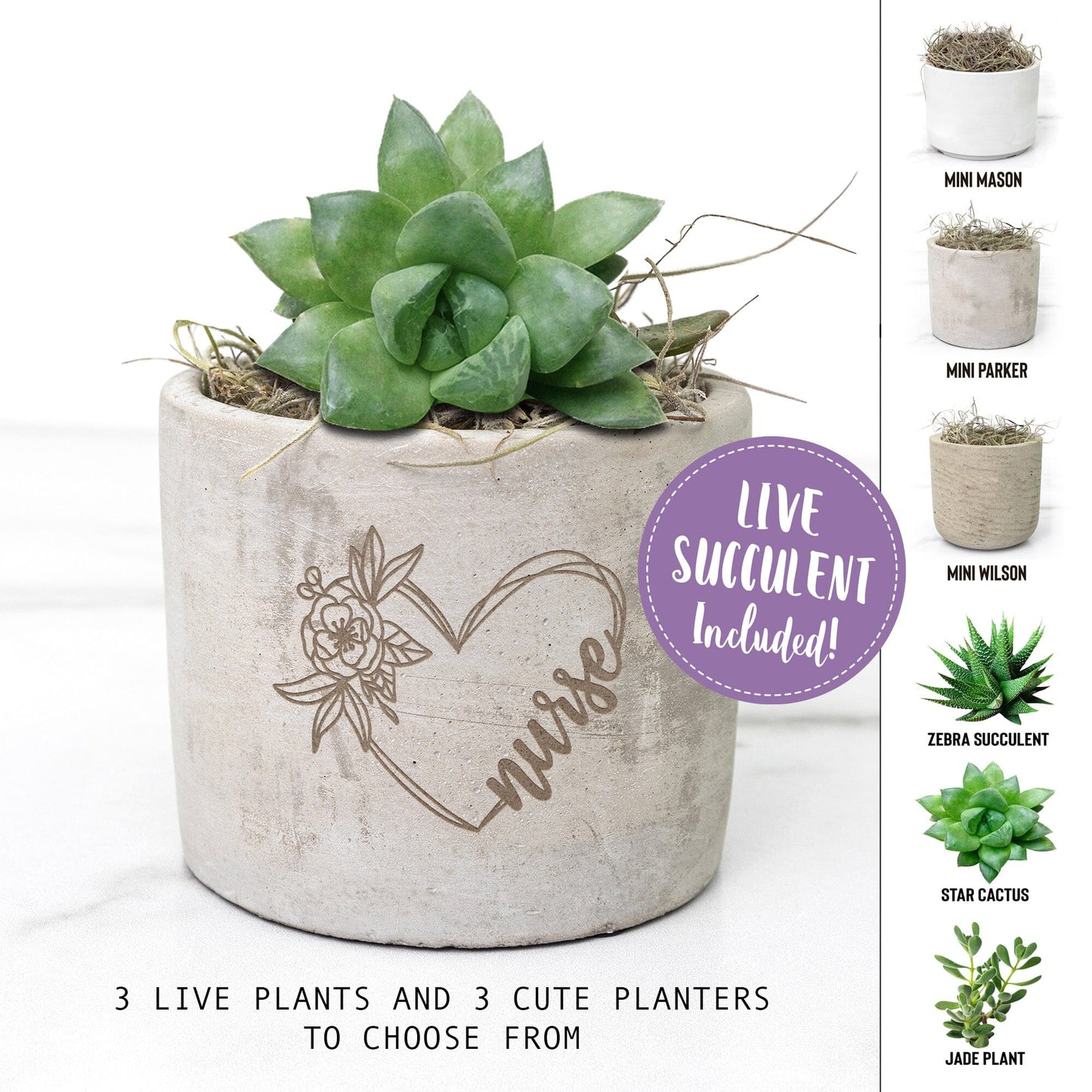 Nurse Appreciation Gift ~ Succulent Gift Box, Unique Gifts To Say Thank You Desk Plant teelaunch