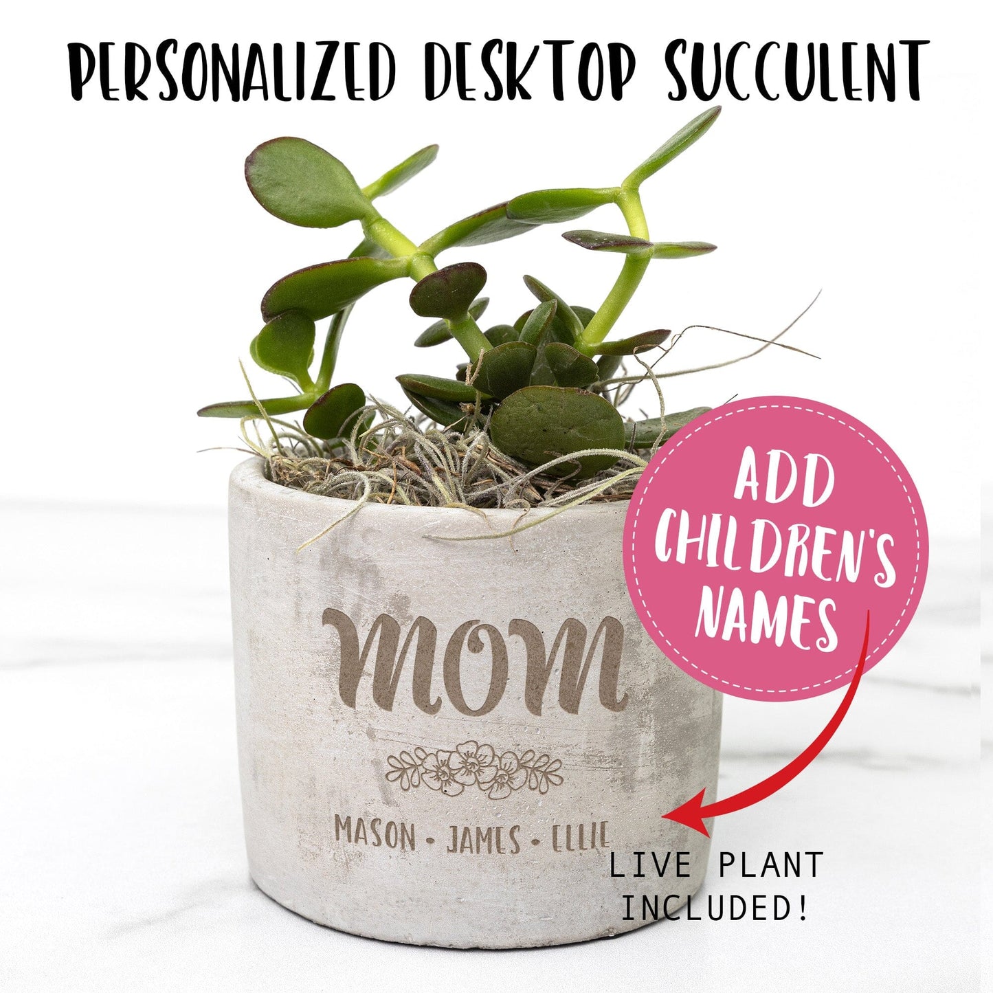 Personalized Flower Pot ~ Succulent Gift Box Birthday Gift for Mom, Customized with Children's Names Desk Plant teelaunch