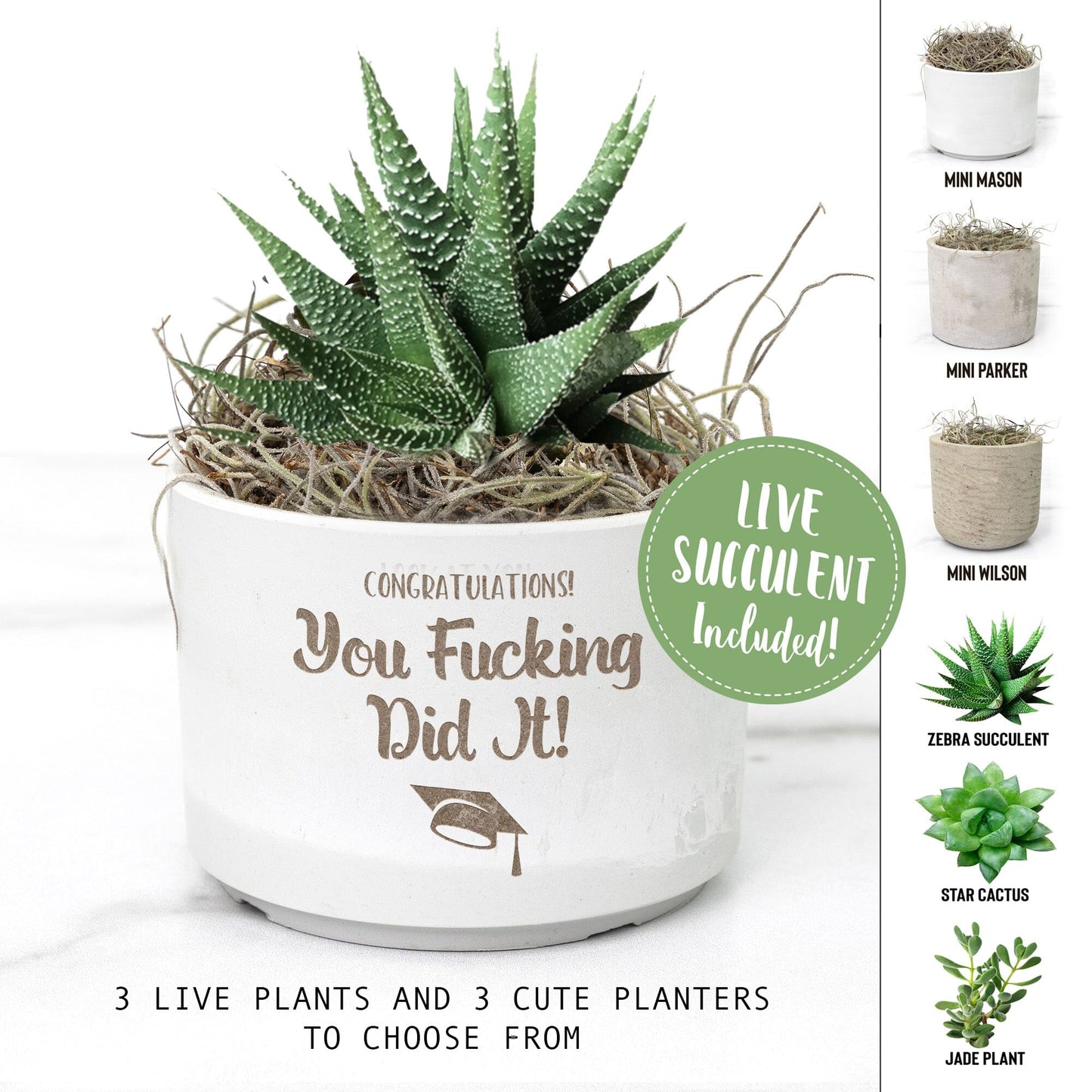 You Fucking Slayed It, You Did It Roommate Gifts, Swear Affirmations Candle Congratualtions Gift New Job Promotion, Masters Degree, Bar Exam Desk Plant teelaunch