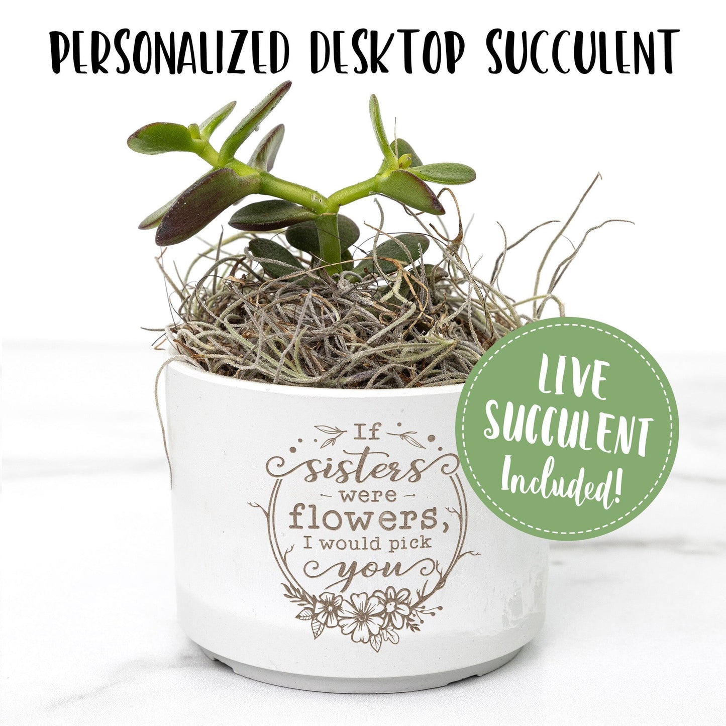 If Sisters Were Flowers ~ Mini Succulent Gift Box, Sister Appreciation Gifts Desk Plant teelaunch