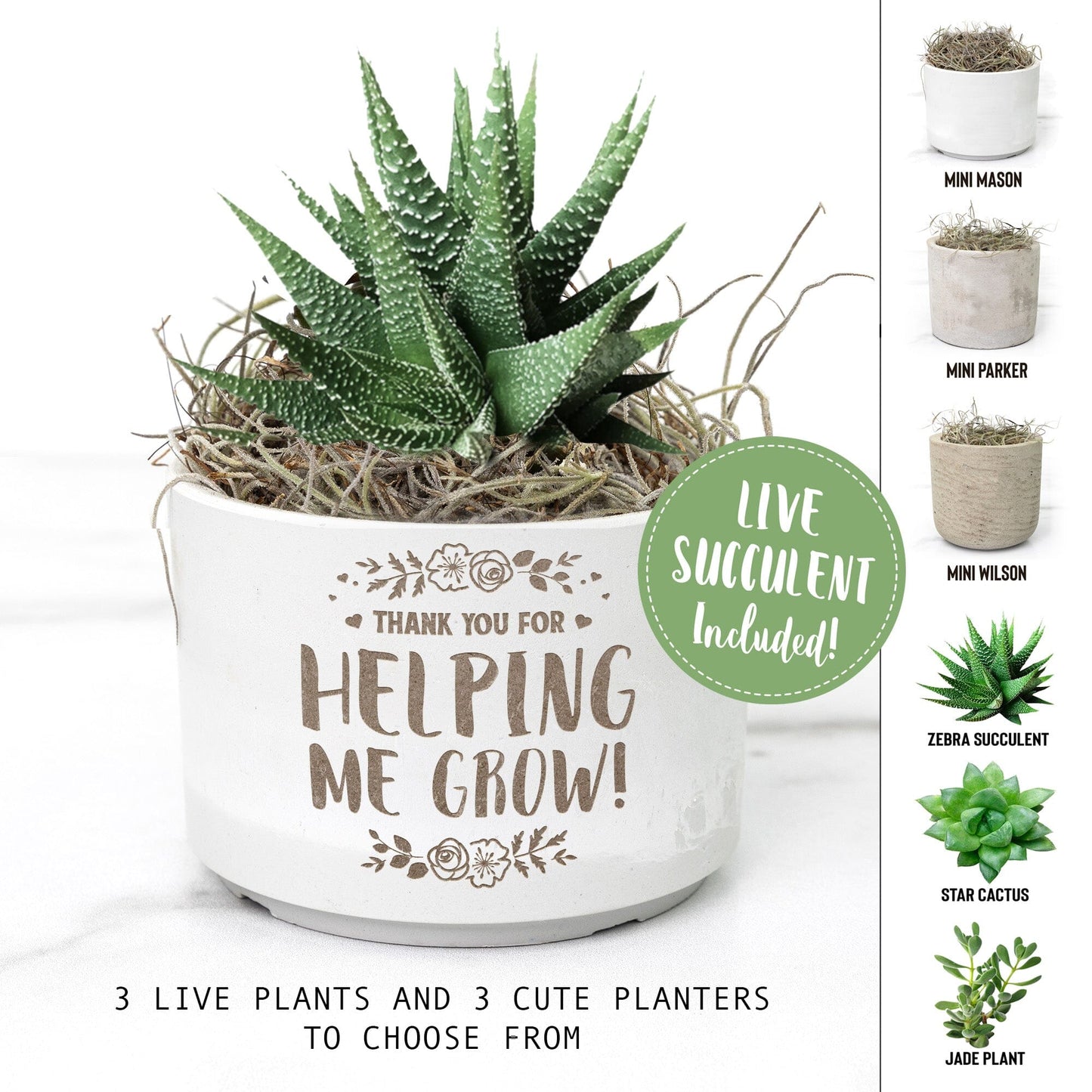 Thank You For Helping Me Grow Succulent Gift Box Planter ~ End of Year or Holiday Teacher Gifts Office teelaunch