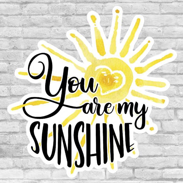 You Are My Sunshine Sticker Salmon Olive