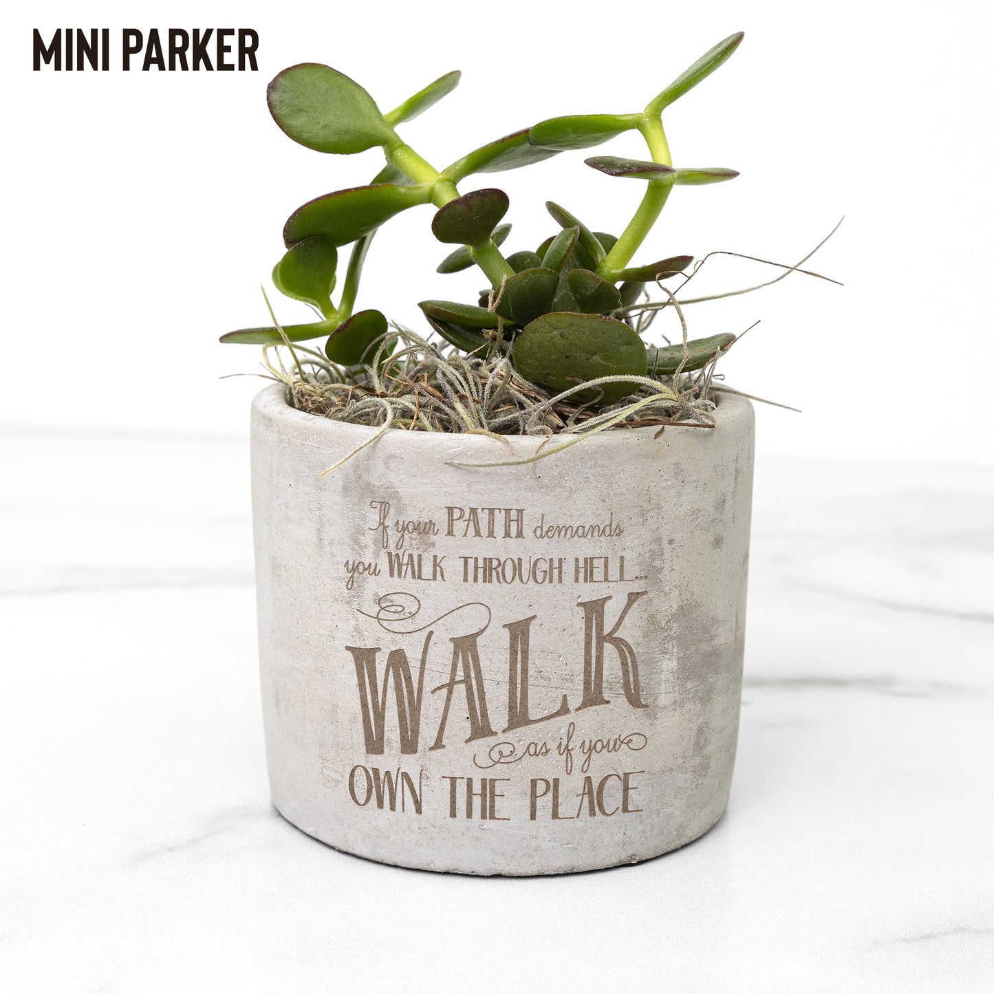 Mental Health Awareness Plant, Encouragement Gifts for Best Friend, Breast Cancer Awarness Gifts for Wife