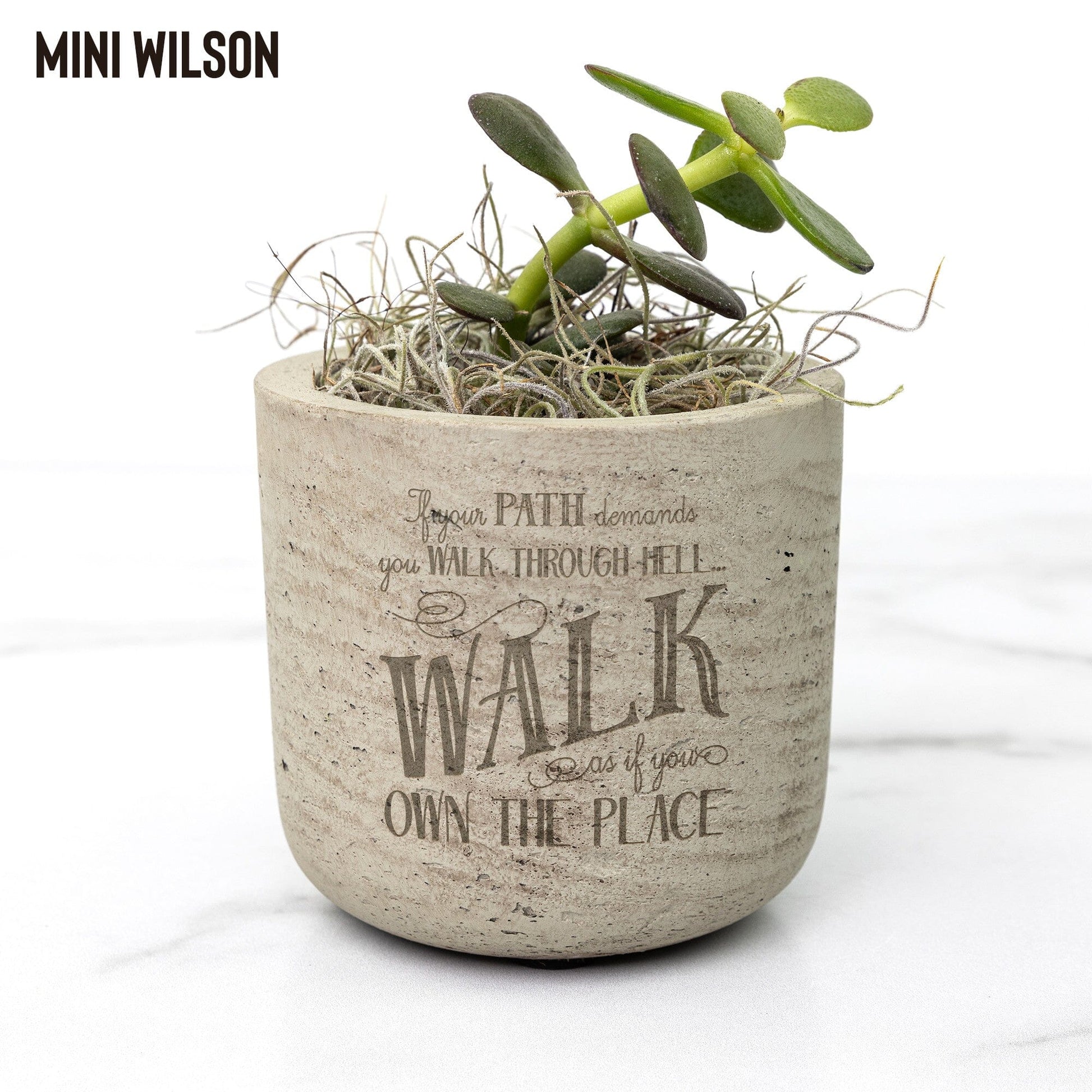 Mental Health Awareness Plant, Encouragement Gifts for Best Friend, Breast Cancer Awarness Gifts for Wife Desk Plant teelaunch 
