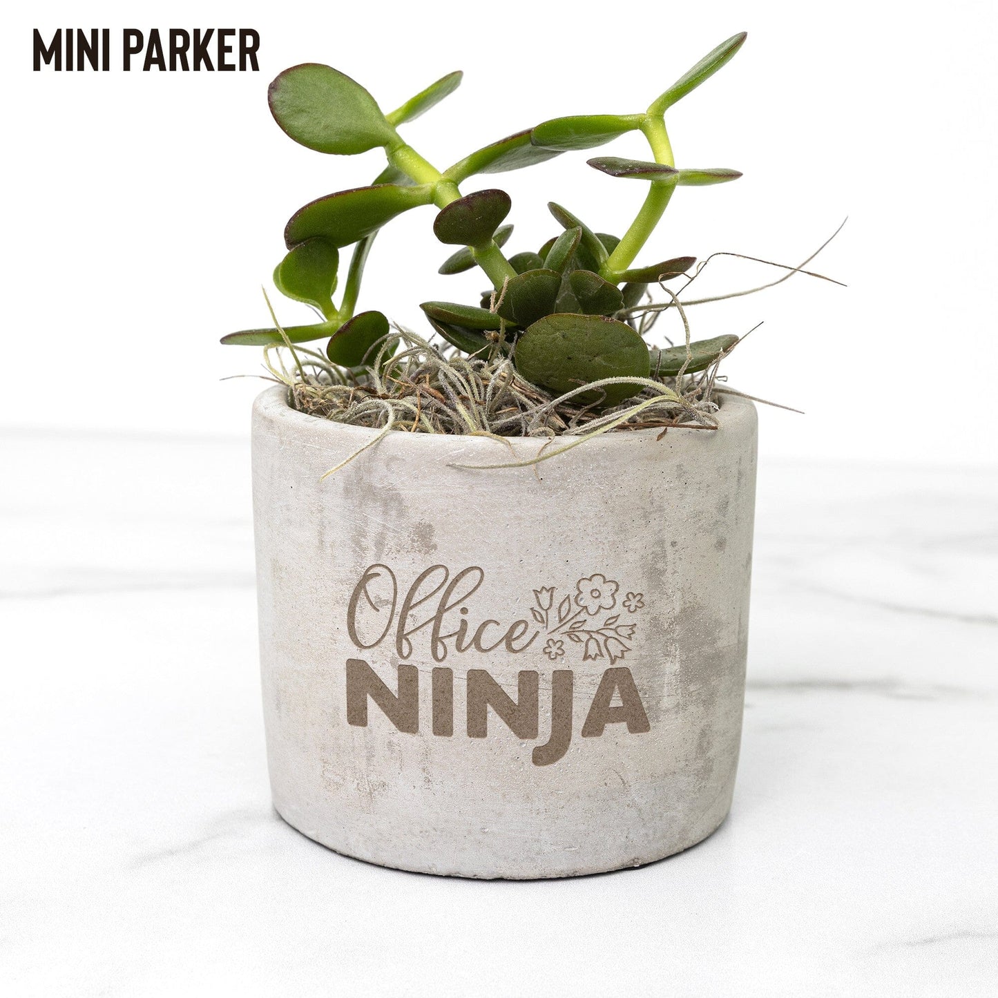 Office Ninja, Secretaries Day Gifts ~ Succulent Gift Boxes for Office Administration Team Desk Plant teelaunch Parker Jade 