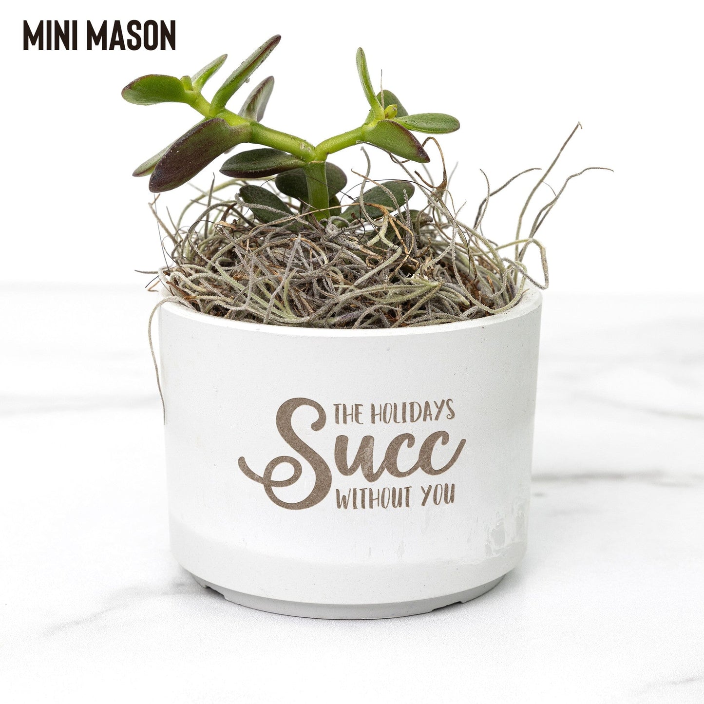 The Holidays Succ Without You, Holiday Succulent Gift Box for Girlfriend Desk Plant teelaunch Mason Grey Jade 