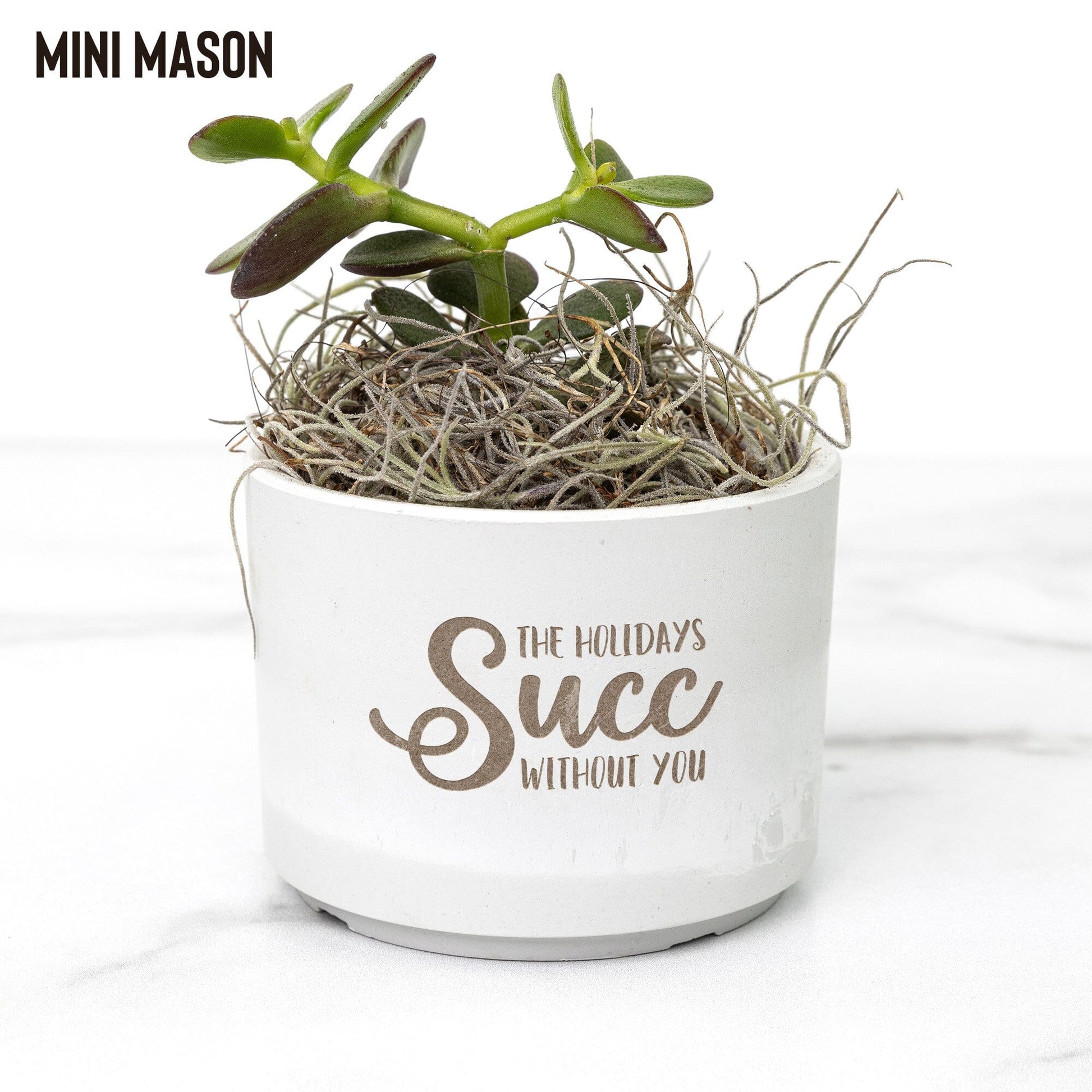 The Holidays Succ Without You, Holiday Succulent Gift Box for Girlfriend Desk Plant teelaunch Mason Grey Jade 