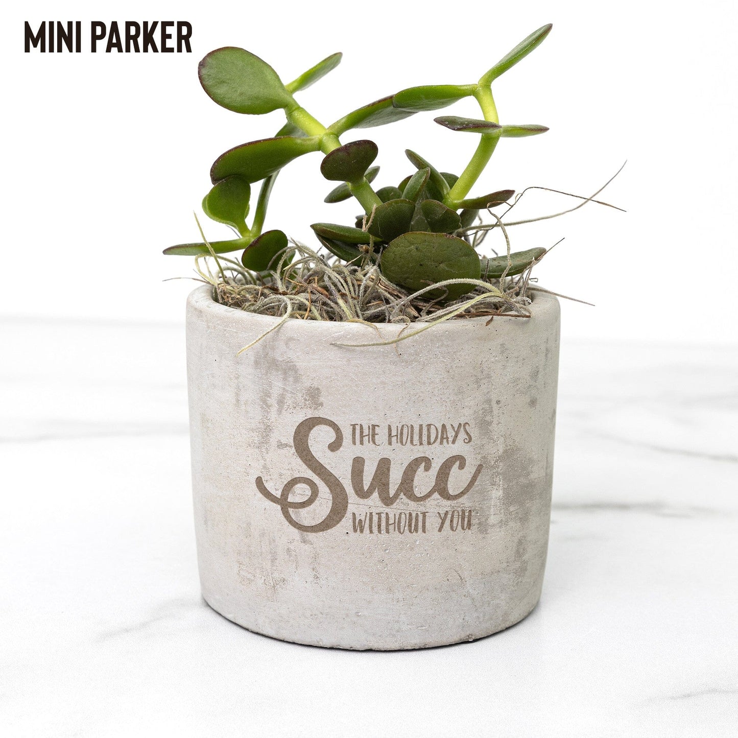 The Holidays Succ Without You, Holiday Succulent Gift Box for Girlfriend Desk Plant teelaunch Parker Jade 