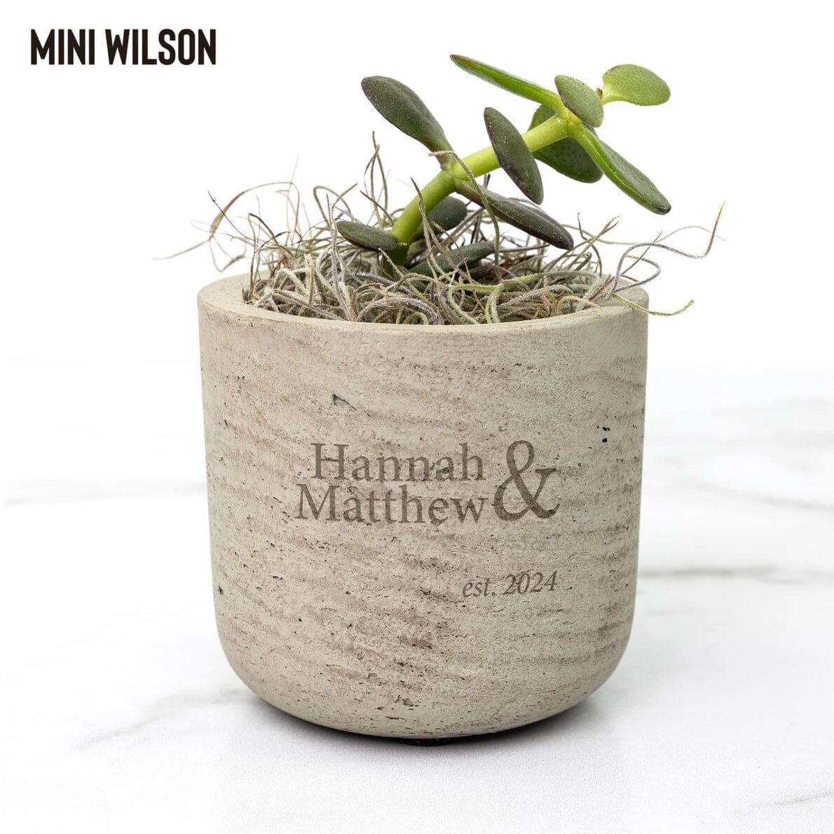 Personalized Engagement Gift ~ Mini Succulent Gift Box, Customized Congratulations Gift for Best Friend, Mr & Mrs Established Office teelaunch Wilson Jade 