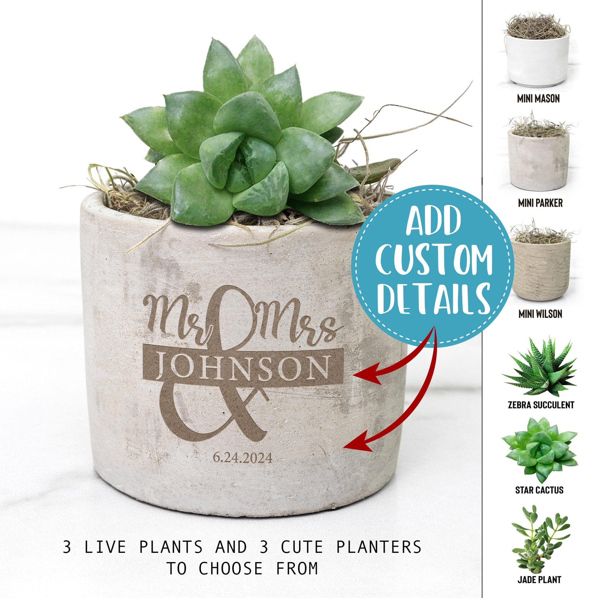 Personalized Newlywed Gifts ~ Mini Succulent Gift Box, Customized Congratulations Gift for Best Friend, Mr & Mrs Established (Copy) Office teelaunch 