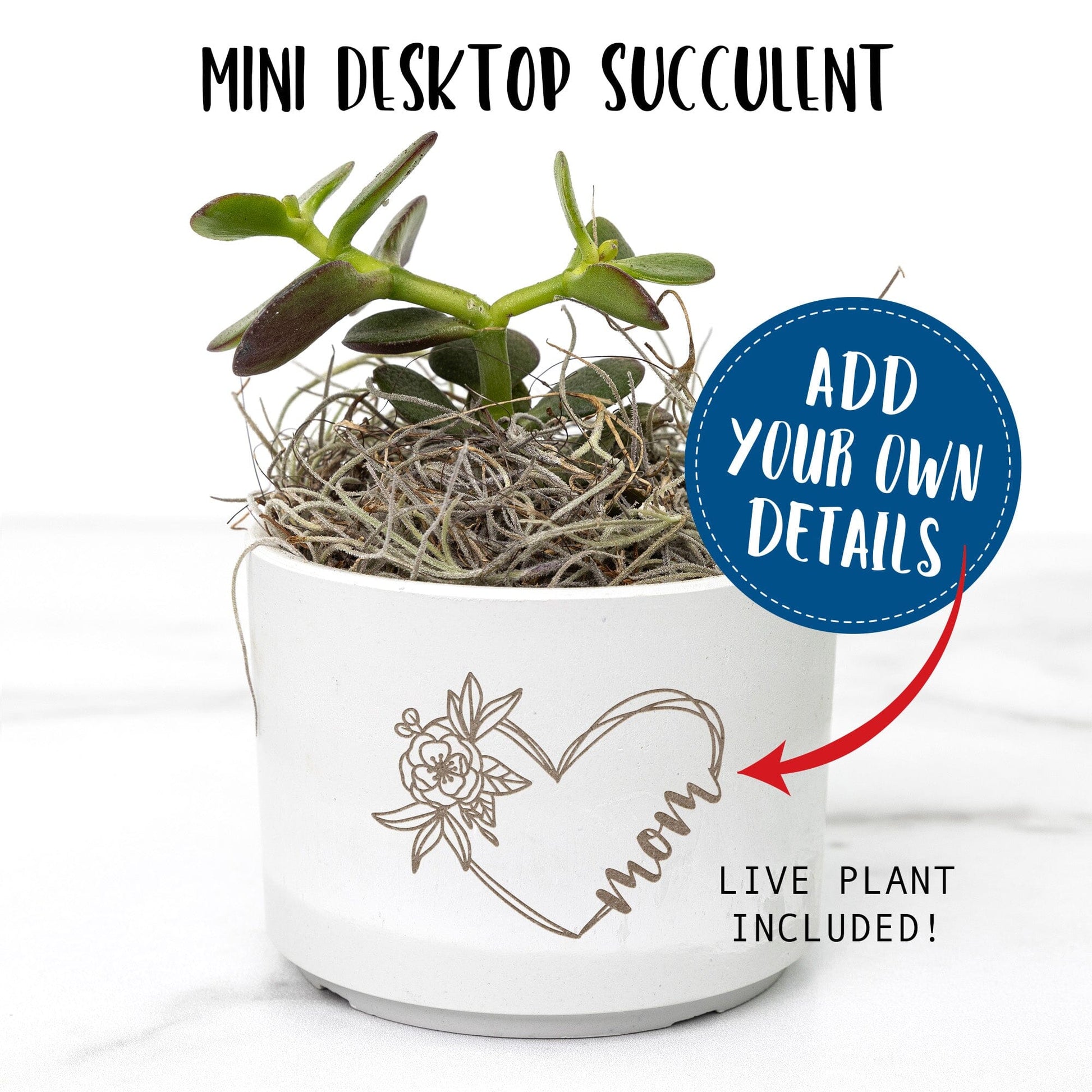 Gifts for Mom ~ Custom Mini Succulent Gift Box Desk Plant teelaunch 