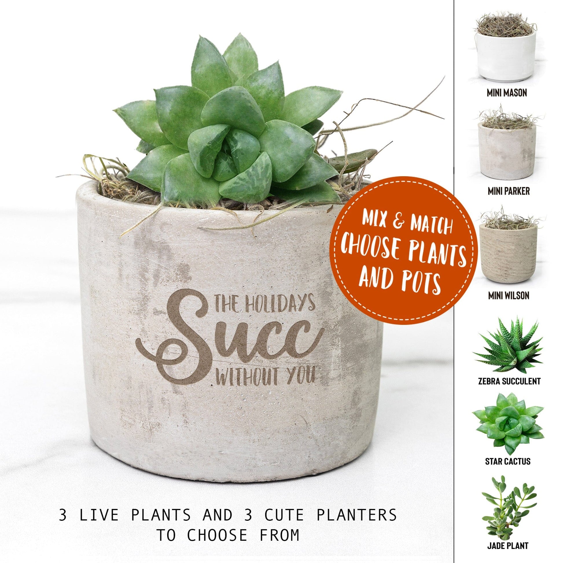 The Holidays Succ Without You ~ Holiday Succulent Gift Box for Girlfriend Desk Plant teelaunch 