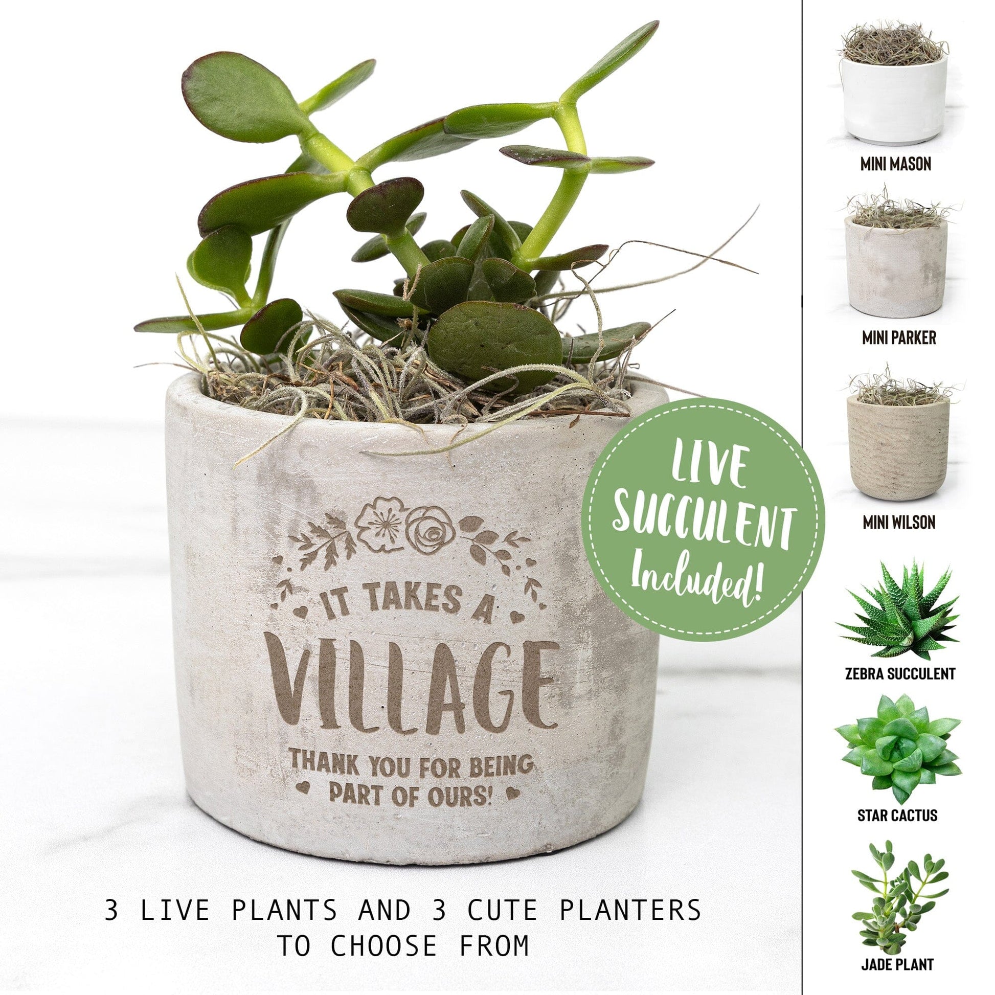 It Takes A Village Teacher Appreciation Gift ~ Succulent Gift Box for Nanny, Babysitter, Teacher or Coach Office teelaunch 