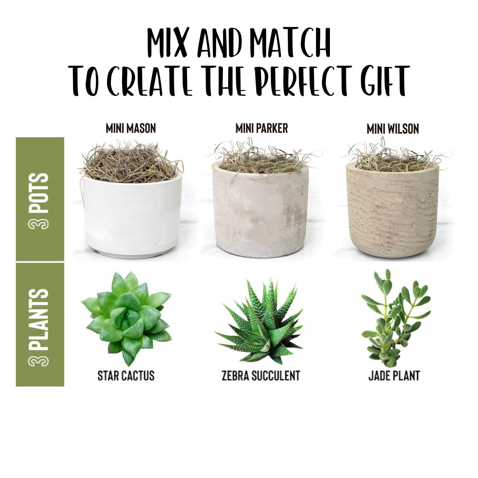 Look At You Graduating And Shit ~ Succulent Gift Box for Graduation Gifts Desk Plant teelaunch 